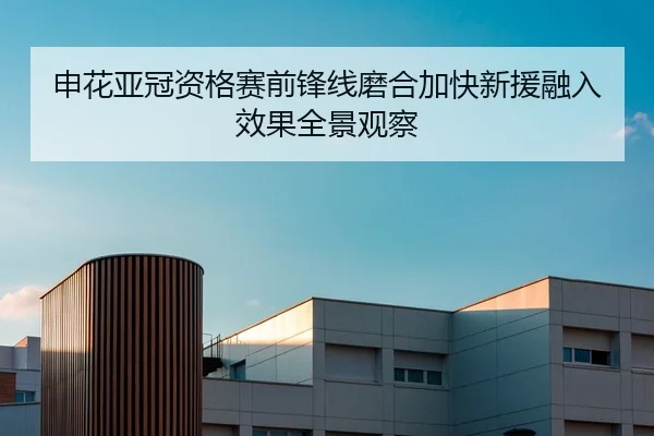 申花亚冠资格赛前锋线磨合加快新援融入效果全景观察